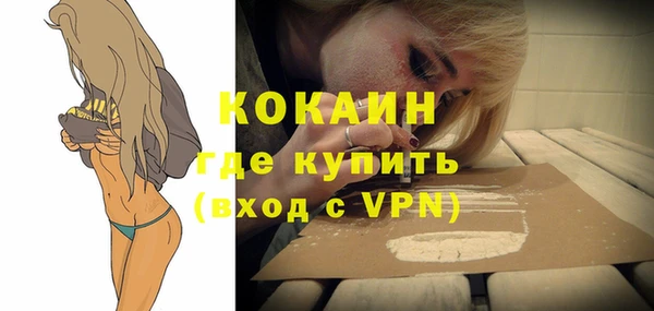 винт Абаза
