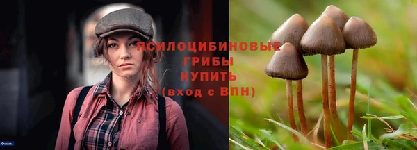 винт Абаза