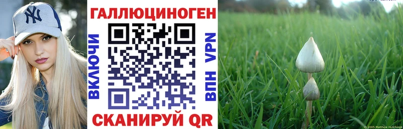 Псилоцибиновые грибы ЛСД  MEGA рабочий сайт  Красноперекопск 